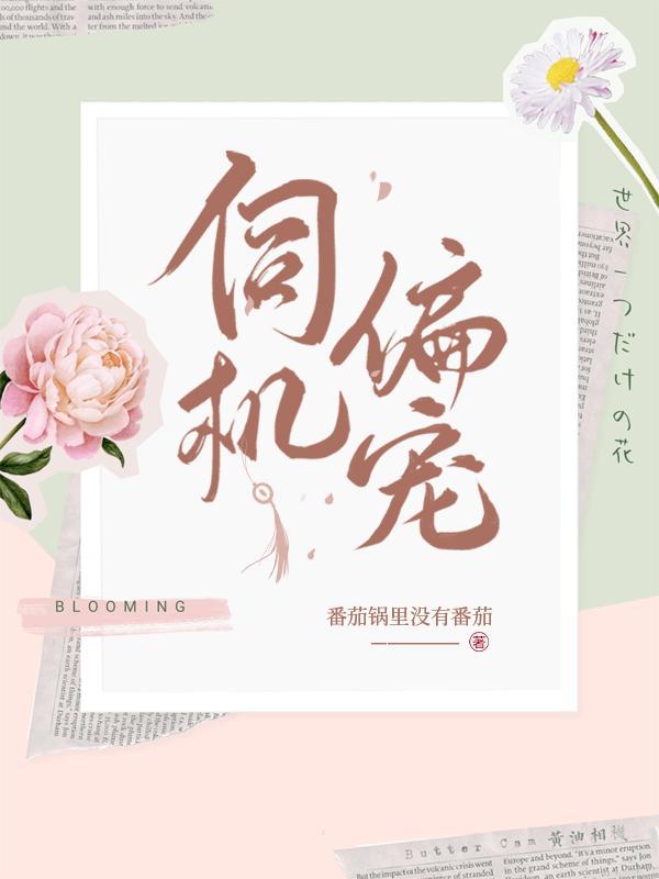 伺机偏宠1至100集