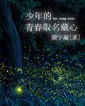 少年的青春诗