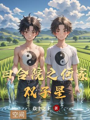 四合院何家双子星全文免费阅读