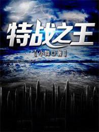 特战之王解析